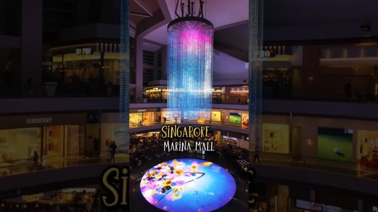 Singapore After Dark- Marina Bay’s Enchanting Nightlife  #shorts #ytshort #viralshort