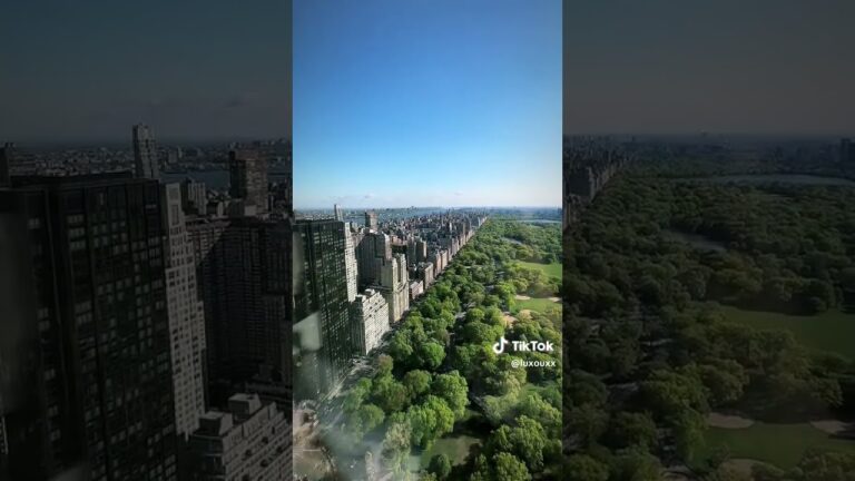Waking up with a view in New York City 😍🇺🇸 #nyc #newyorkcity #centralpark|  Timeless Travel